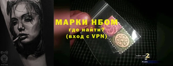 стафф Богданович