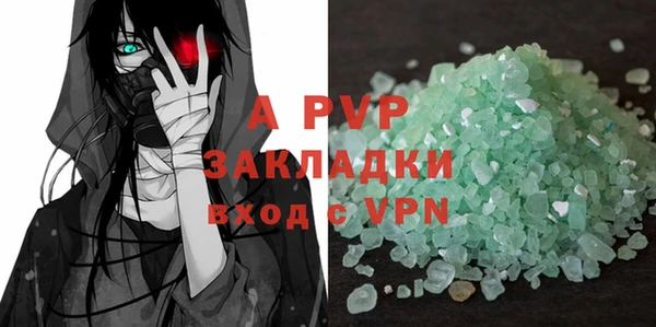 стафф Богданович