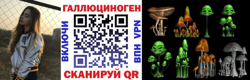 дарнет шоп  Володарск  Псилоцибиновые грибы мицелий 